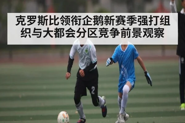 克罗斯比领衔企鹅新赛季强打组织与大都会分区竞争前景观察（kaiyun）
